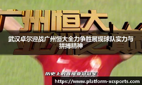 杏彩在线体育